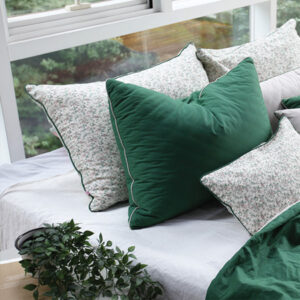 Pillow & Cushion